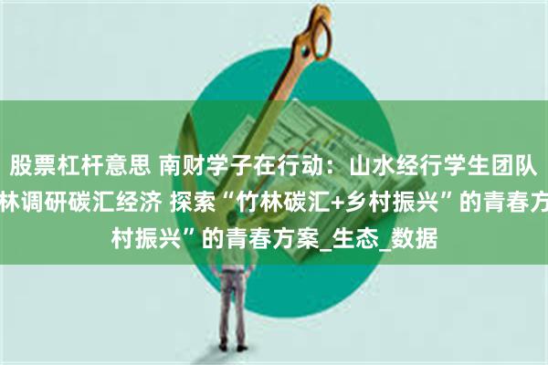 股票杠杆意思 南财学子在行动：山水经行学生团队赴浙江安吉竹林调研碳汇经济 探索“竹林碳汇+乡村振兴”的青春方案_生态_数据