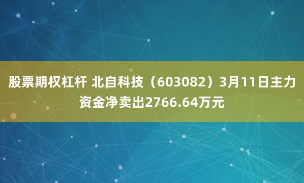 股票期权杠杆 北自科技（603082）3月11日主力资金净卖出2766.64万元