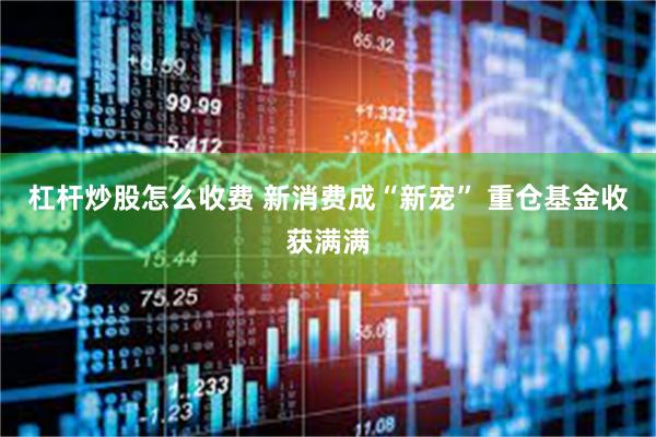 杠杆炒股怎么收费 新消费成“新宠” 重仓基金收获满满