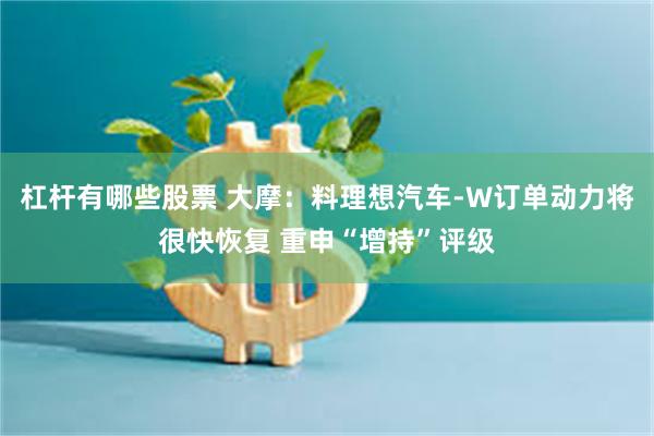 杠杆有哪些股票 大摩：料理想汽车-W订单动力将很快恢复 重申“增持”评级