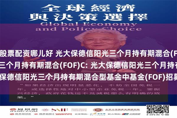 股票配资哪儿好 光大保德信阳光三个月持有期混合(FOF)A,光大保德信阳光三个月持有期混合(FOF)C: 光大保德信阳光三个月持有期混合型基金中基金(FOF)招募说明书