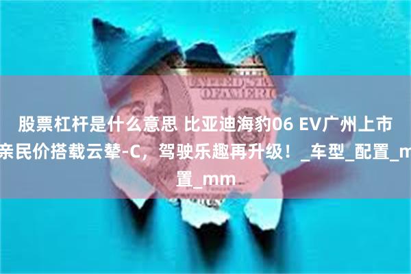 股票杠杆是什么意思 比亚迪海豹06 EV广州上市，亲民价搭载云辇-C，驾驶乐趣再升级！_车型_配置_mm