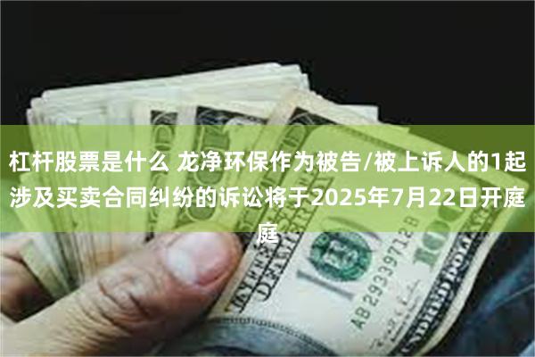 杠杆股票是什么 龙净环保作为被告/被上诉人的1起涉及买卖合同纠纷的诉讼将于2025年7月22日开庭