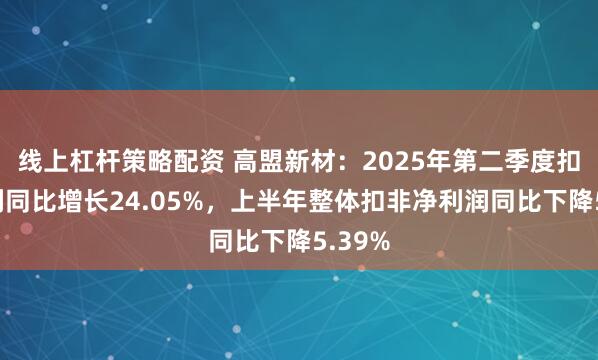 线上杠杆策略配资 高盟新材：2025年第二季度扣非净利同比增长24.05%，上半年整体扣非净利润同比下降5.39%