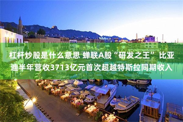 杠杆炒股是什么意思 蝉联A股“研发之王” 比亚迪半年营收3713亿元首次超越特斯拉同期收入