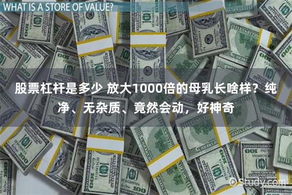 股票杠杆是多少 放大1000倍的母乳长啥样？纯净、无杂质、竟然会动，好神奇