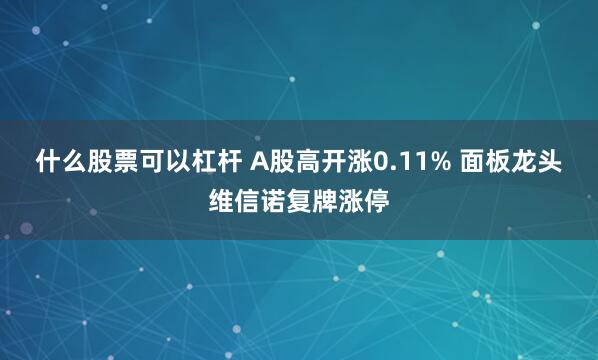 什么股票可以杠杆 A股高开涨0.11% 面板龙头维信诺复牌涨停