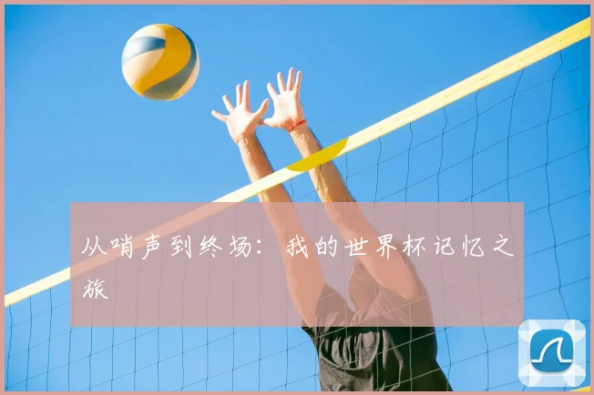 从哨声到终场:我的世界杯记忆之旅