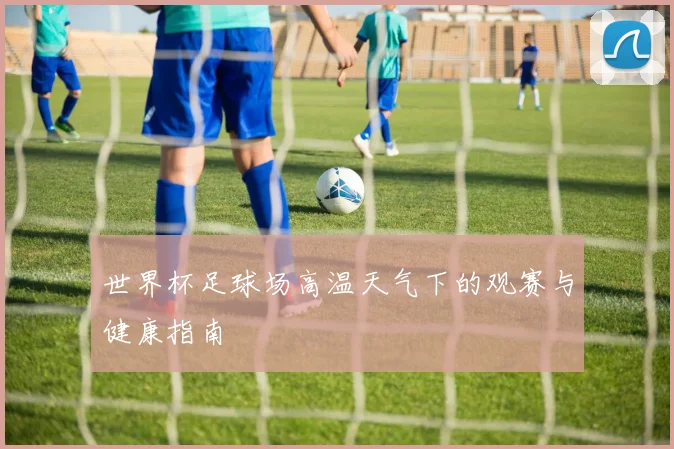 世界杯足球场高温天气下的观赛与健康指南